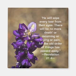 Revelation 21:4 magnet