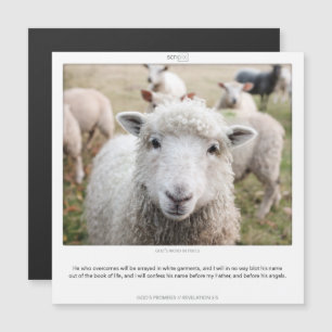 Revelation 3:5 GODS PROMISES SCRIPIX magnet card