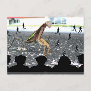 Revenge of the Praying Mantis Postcard