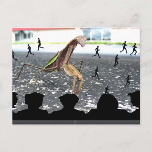 Revenge of the Praying Mantis Postcard (Front)