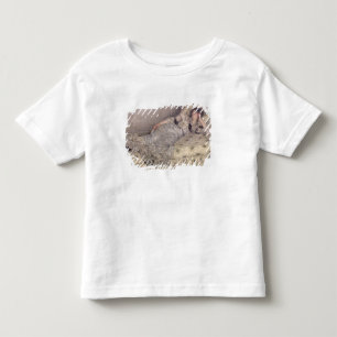 Reverie, 1903 toddler t-shirt