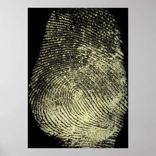 Reversed Loop Fingerprint Poster