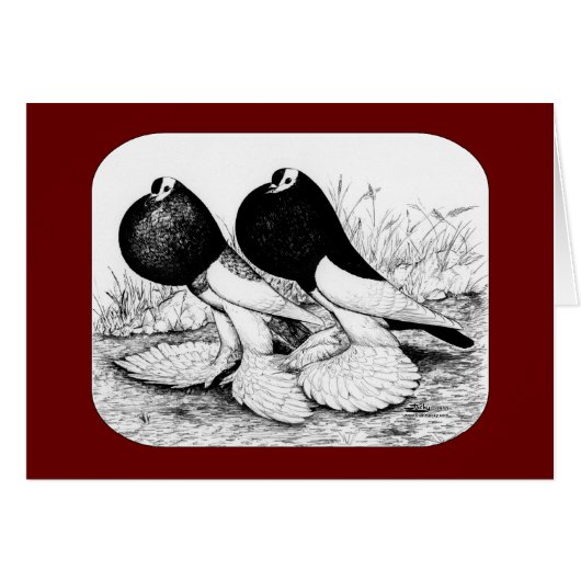 Reversewing Pouter Pigeons Cards (Front Horizontal)