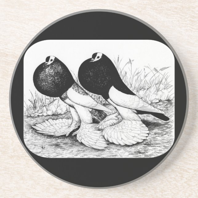 Reversewing Pouter Pigeons Drink Coaster (Front)
