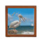 Reversible Brown and White Pelicans