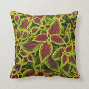 Reversible Red and Chartreuse Coleus Leaves Pillow