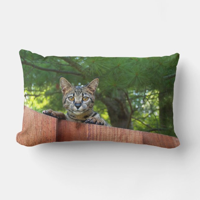 Reversible Serval Savannah Cats on a Pillow (Front)