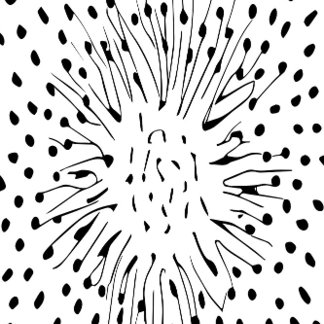 Revesible Duvet Cover & Bedspread