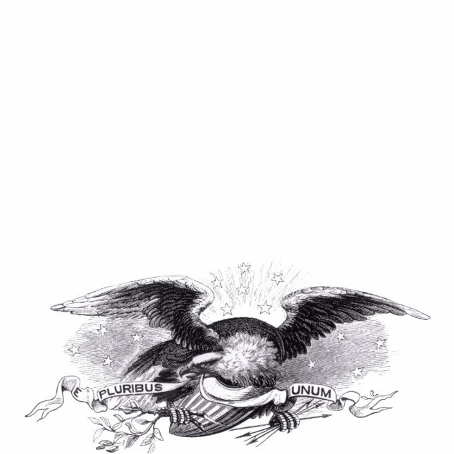 Revolutionary War Eagle Photo Sculpture (Front)