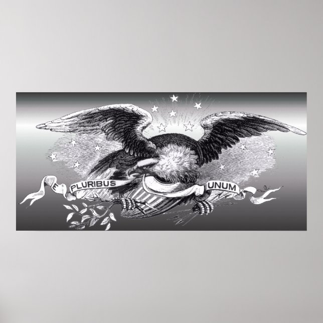 Revolutionary War Eagle Print (Front)