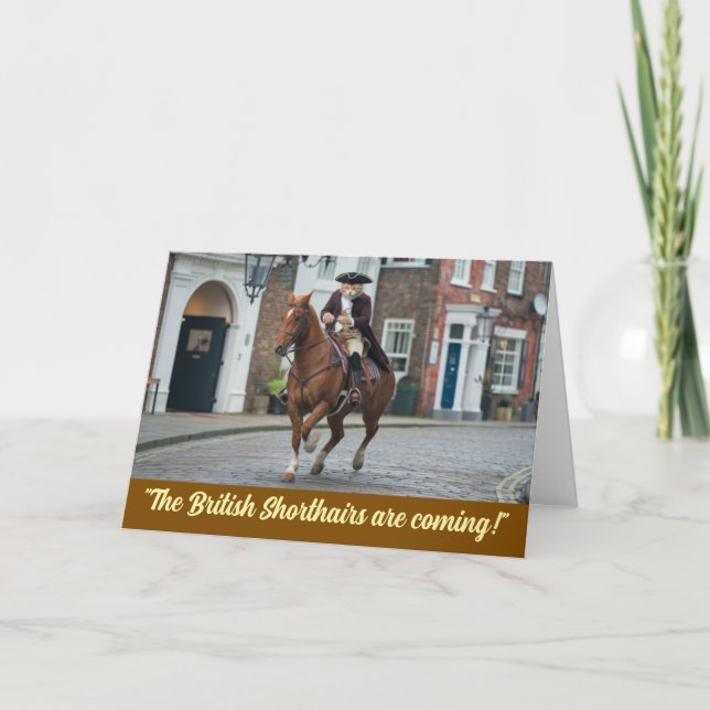 Revolutionary War Tabby Card (Front)