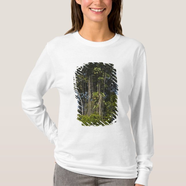 Rewa River edge Rainforest Guyana T-Shirt (Front)