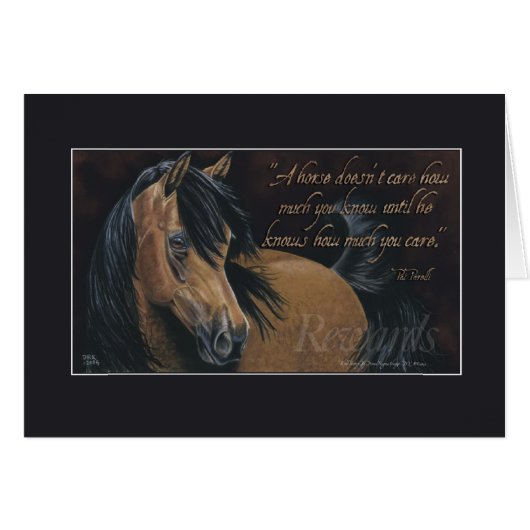 Rewards (Front Horizontal)