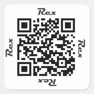 Rex QR Code Personalized NAME Sticker