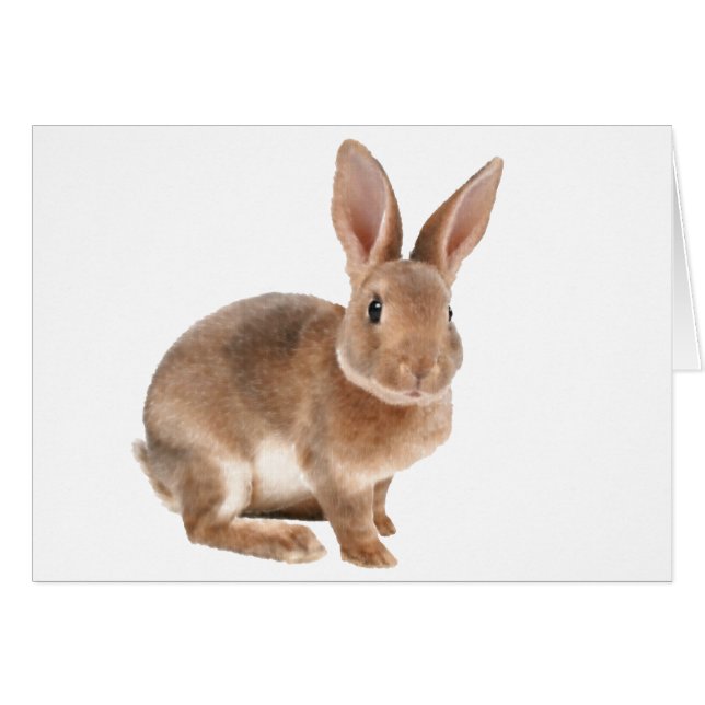 Rex Rabbit Cards (Front Horizontal)