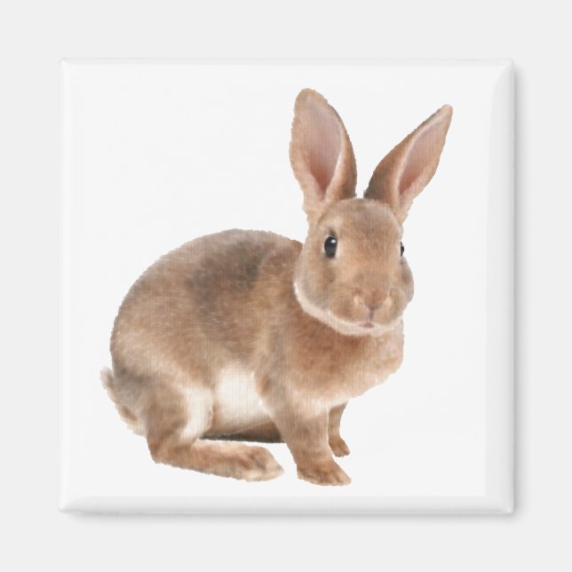 Rex Rabbit Magnet (Front)