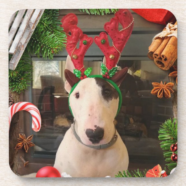 Rex The TV Terrier Christmas coasters (Front)