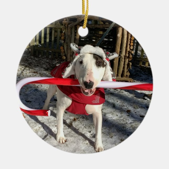 Rex The TV Terrier Christmas Ornament Candy cane (Front)