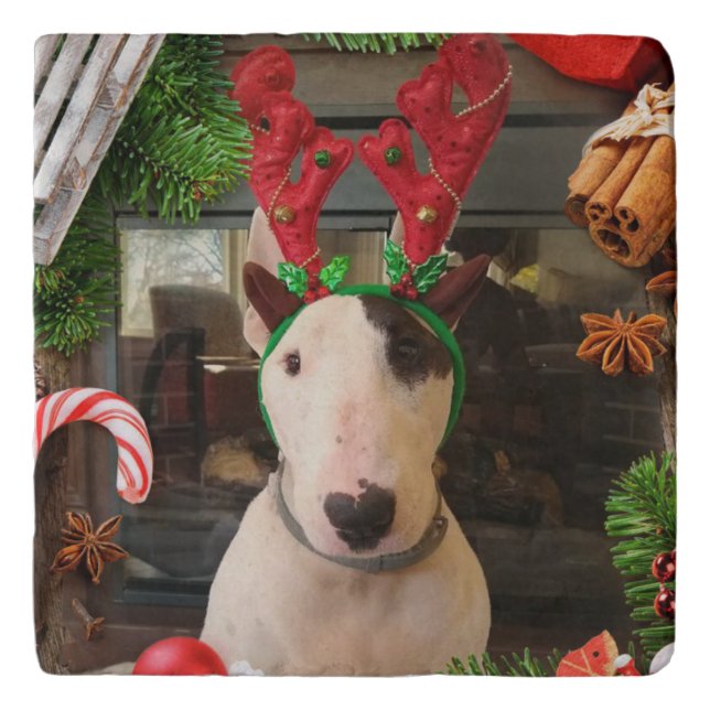 Rex The TV Terrier Christmas Trivet (Front)