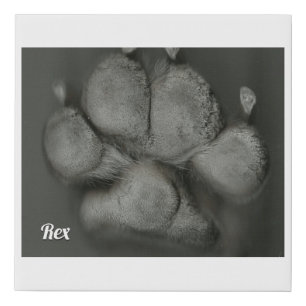 Rex The TV Terrier Pawtograph Faux Canvas Print