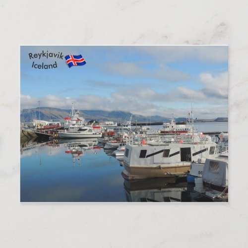 Reykjavik Harbour Iceland Postcard