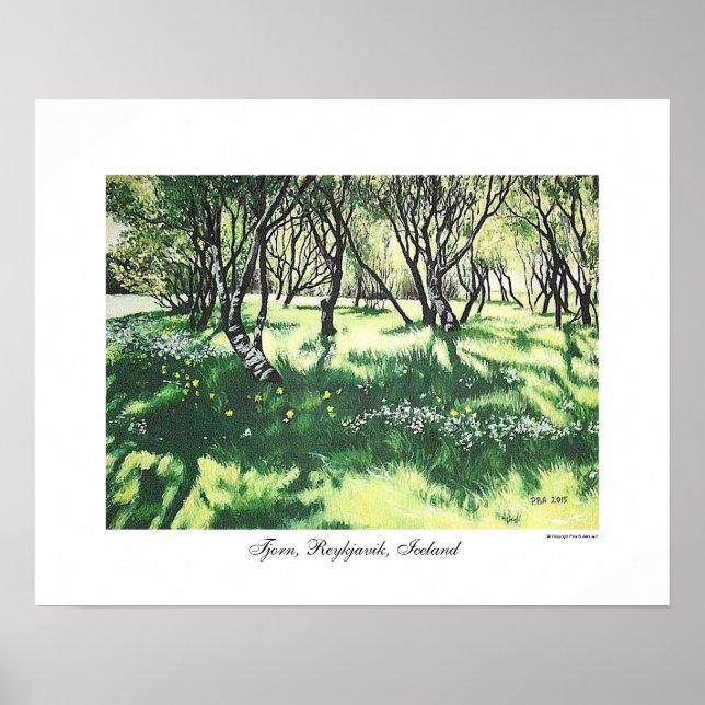 Reykjavik Iceland landscape art by Pola.B.Alex Poster (Front)