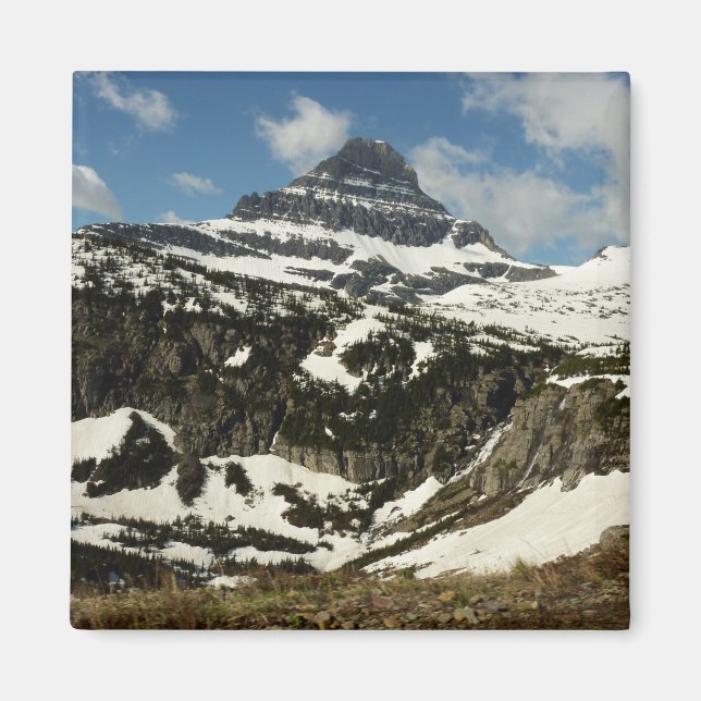 Reynolds Mountain from Logan Pass at Glacier Park Magnet (Front)