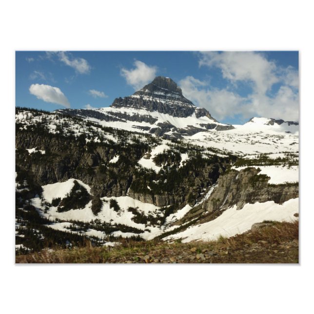 Reynolds Mountain from Logan Pass at Glacier Park Photo Print (Front)
