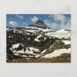 Reynolds Mountain from Logan Pass at Glacier Park Postcard