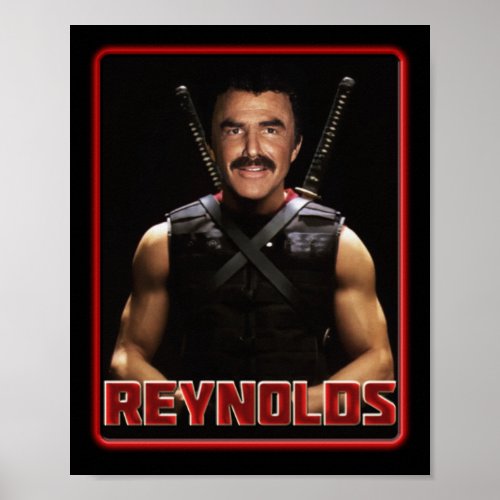 Reynolds Poster