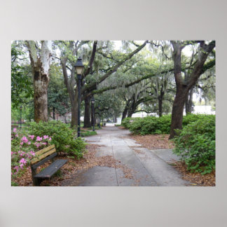 Reynolds Square, Savannah Georgia Poster