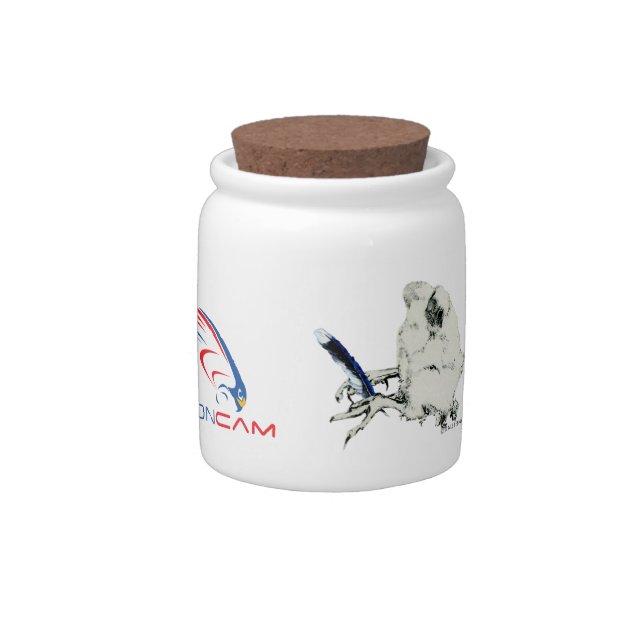 Rfalconcam artist touch Jar (Right)