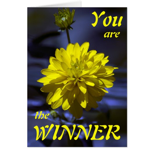 Rhapsody in blue and yellow YOU ARE THE WINNER (Front)
