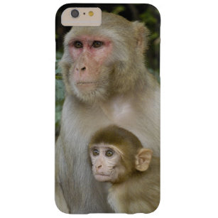 Best Rhesus Gift Ideas