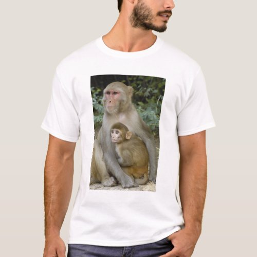 Rhesus Macaques Macaca mulatta mother  baby T_Shirt