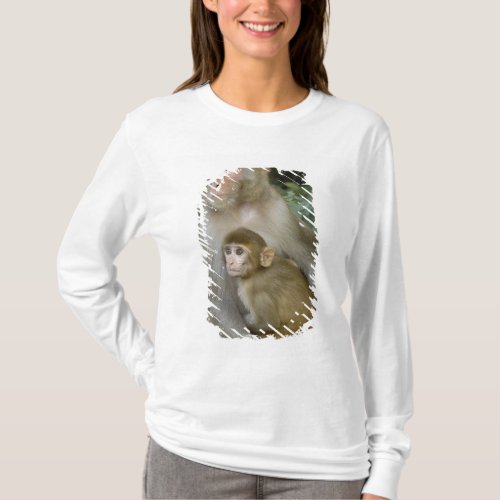 Rhesus Macaques Macaca mulatta mother  baby T_Shirt