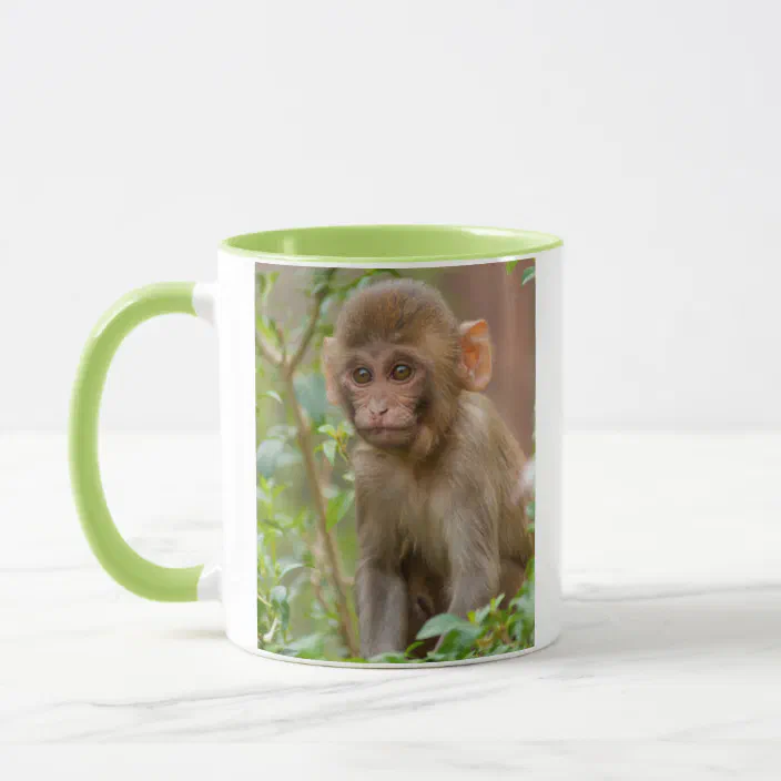 Rhesus Monkey Baby Monkey Temple Jaipur Mug Zazzle Com