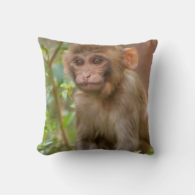 Rhesus Monkey Baby, Monkey Temple, Jaipur Throw Pillow (Front)