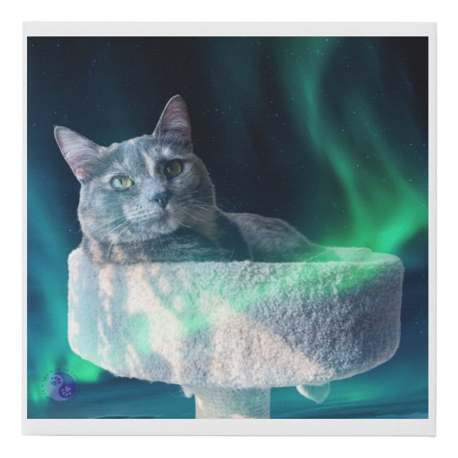 Rhiannon relaxes in the Northern Lights Faux Canvas Print (Front)