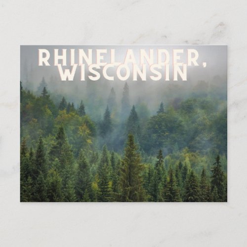 Rhinelander Wisconsin Forest Up North Postcard