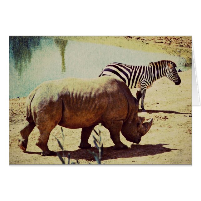 Rhino and Zebra Cards (Front Horizontal)