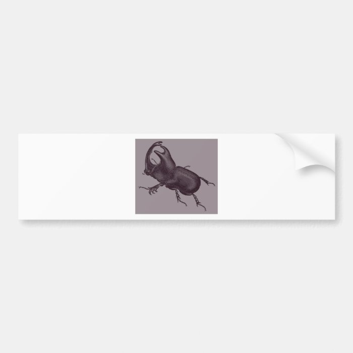 Rhino Beetle, Scarabeus Chorinaeus Bumper Stickers