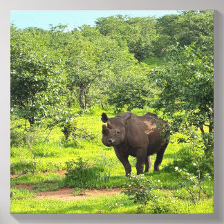 Rhino Business Canvas Photo Tile