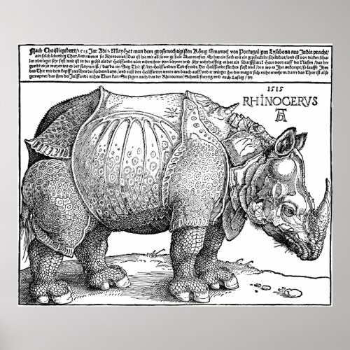 Rhino by Albrecht Durer Poster