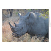 Rhino Card (Front Horizontal)
