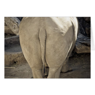 Rhino Cards
