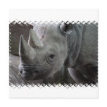 Rhino Facts Invitations