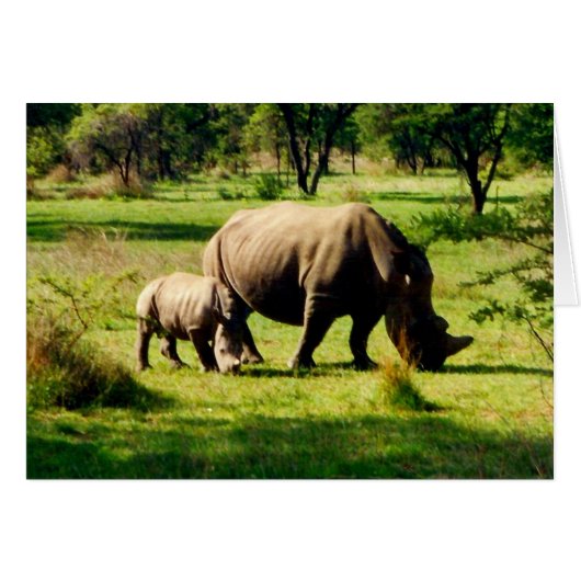rhino family (Front Horizontal)