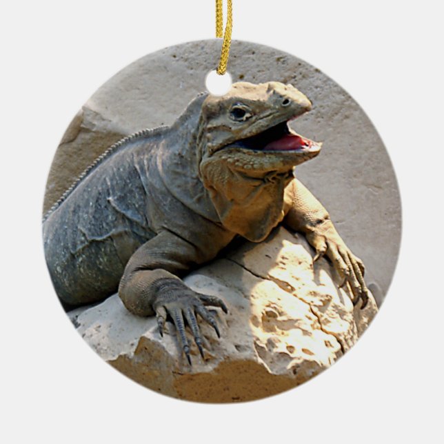 Rhino Iguana Ceramic Ornament (Front)