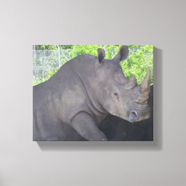 Rhino in Woodland Focus Canvas Print (Front)